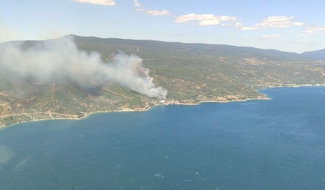 GÜNCELLEME 2 - Yalova'da çıkan orman yangını kontrol altına alındı