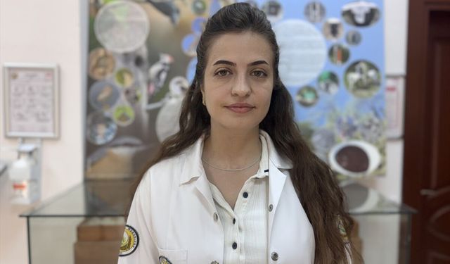 Laboratuvarda yetiştirilen 'avcı böcekler' orman zararlılarıyla mücadele ediyor