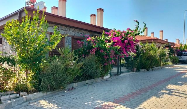 Manavgat yangınının 5'inci yılında afetin izleri devletin çalışmalarıyla silindi