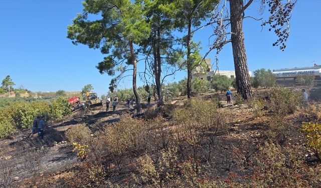 Manavgat'ta tarım arazisinde çıkan yangın kontrol altına alındı