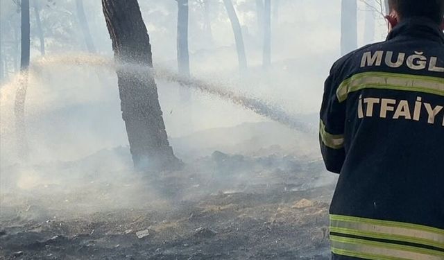 Ortaca'da ormanlık alanda çıkan yangına müdahale ediliyor