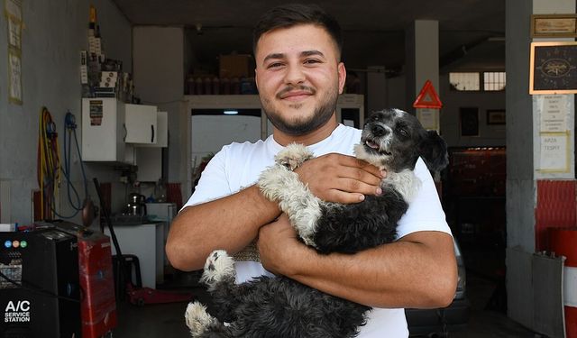 Adana'da boğazına cisim kaçan köpek esnafın müdahalesiyle kurtarıldı