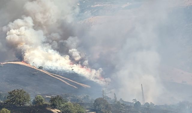 GÜNCELLEME - Malatya'da çıkan orman yangını söndürüldü