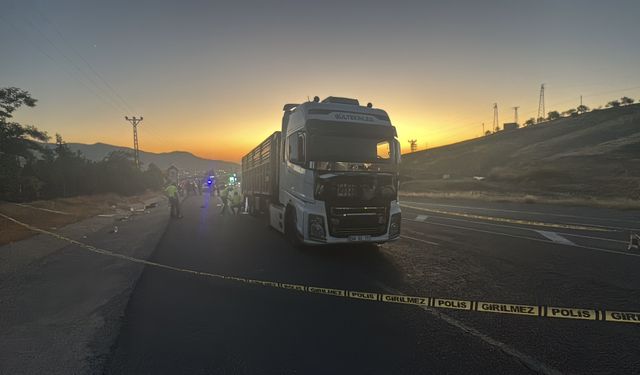 Malatya'da tarım işçilerini taşıyan minibüsün tıra çarpması sonucu 11 kişi yaralandı