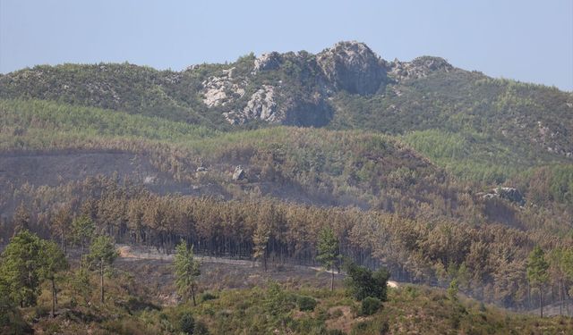GÜNCELLEME - Orman Genel Müdürlüğü: Antalya'nın Serik ilçesindeki yangın büyük ölçüde kontrol altında