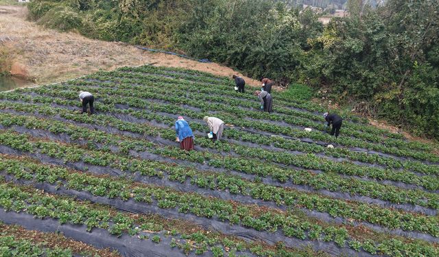 Kadınların Emeği “Kahraman Kadın” Platformu ile Daha Geniş Kitlelere Ulaşıyor