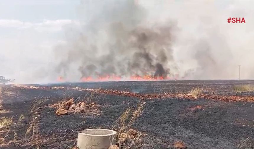 Pazarcık’ta bin dönümlük ekili alan yangında zarar gördü