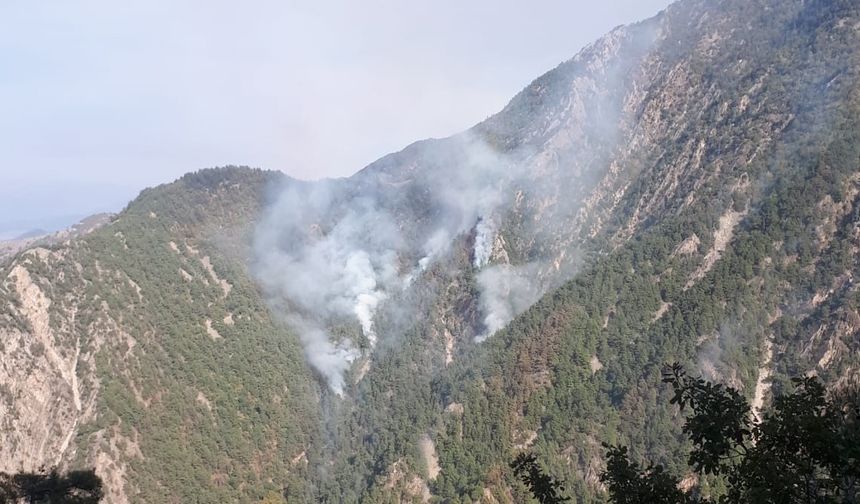 Kahramanmaraş'taki orman yangınına müdahale sürüyor