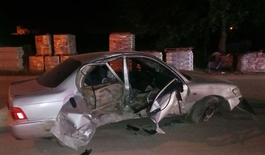 Adana'da otomobilin elektrik direğine çarpması sonucu 1 kişi yaralandı