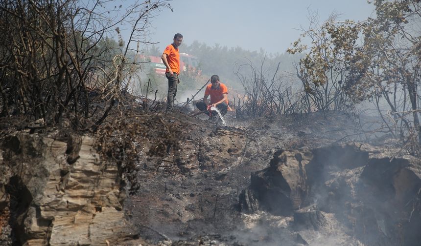 Alanya'da makilik alanda çıkan yangın söndürüldü