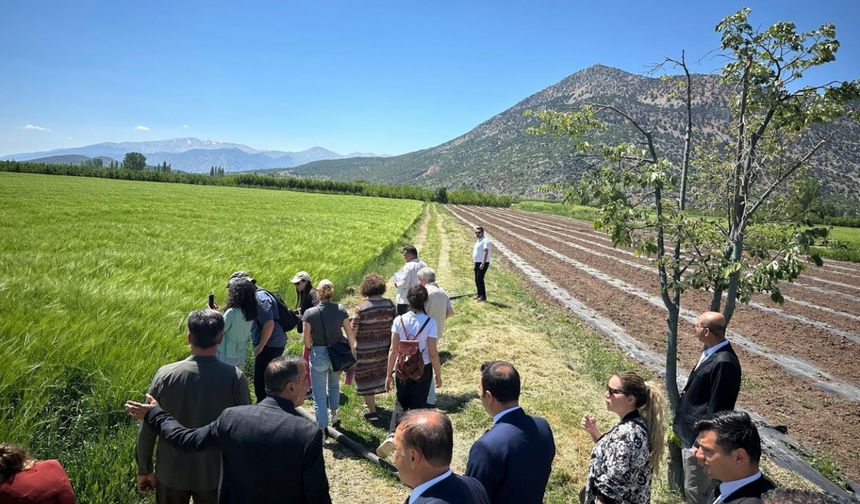 Antalya'da cezaevlerindeki mahkumlara organik tarım eğitimi verilecek