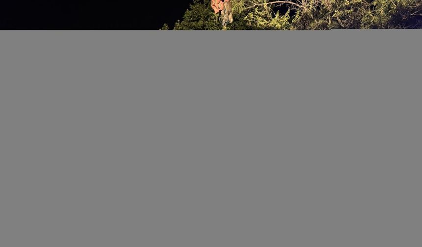 Antalya'da köprüden düşerek yaralanan kişi, itfaiye ekiplerince kurtarıldı