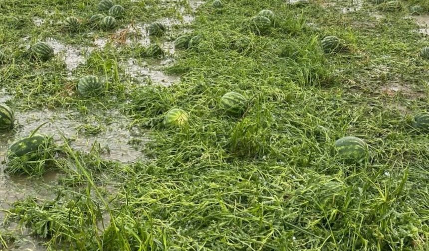 Antalya'da sağanak ve dolu seralara ve ürünlere zarar verdi