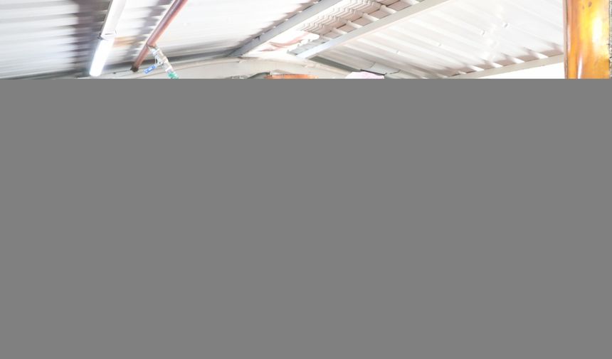 Burdur'daki göl manzaralı gül hasadına ilgi artıyor