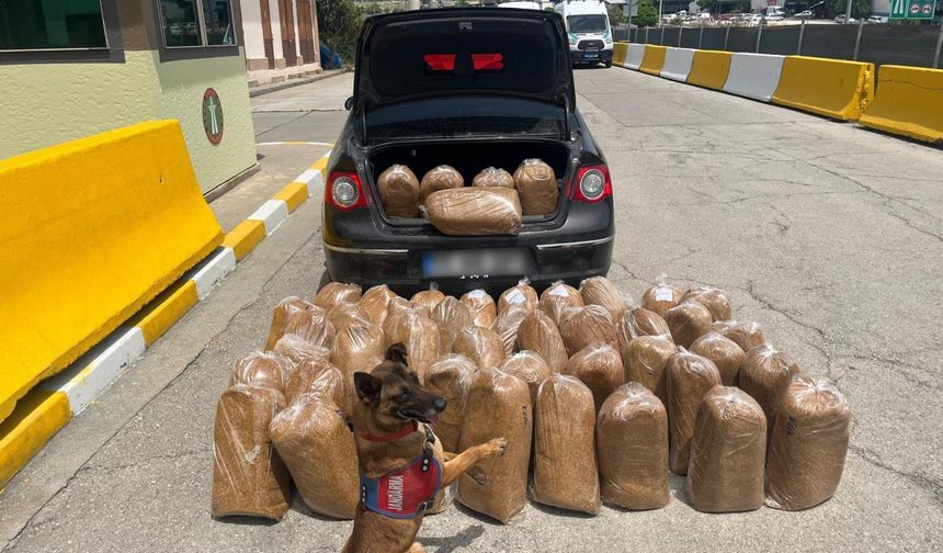 Mersin'de 292 bin 102 makaron ve 250 kilogram bandrolsüz tütün ele geçirildi