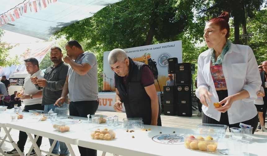 Mersin'de 63. Karacaoğlan Kayısı, Kültür ve Sanat Festivali başladı