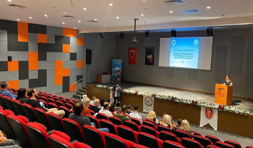 Mersin'de "Deniz Kaplumbağaları Çalıştayı" düzenlendi