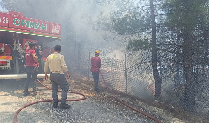 Mersin'de otomobilden ormanlık alana sıçrayan yangın söndürüldü