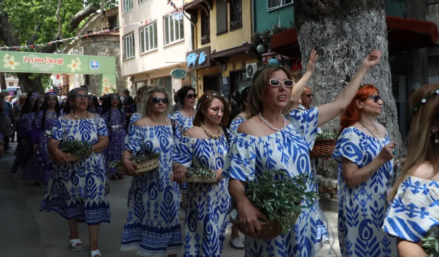 Bursa Mudanya'da zeytinin bereketi Tirilye sokaklarına taştı