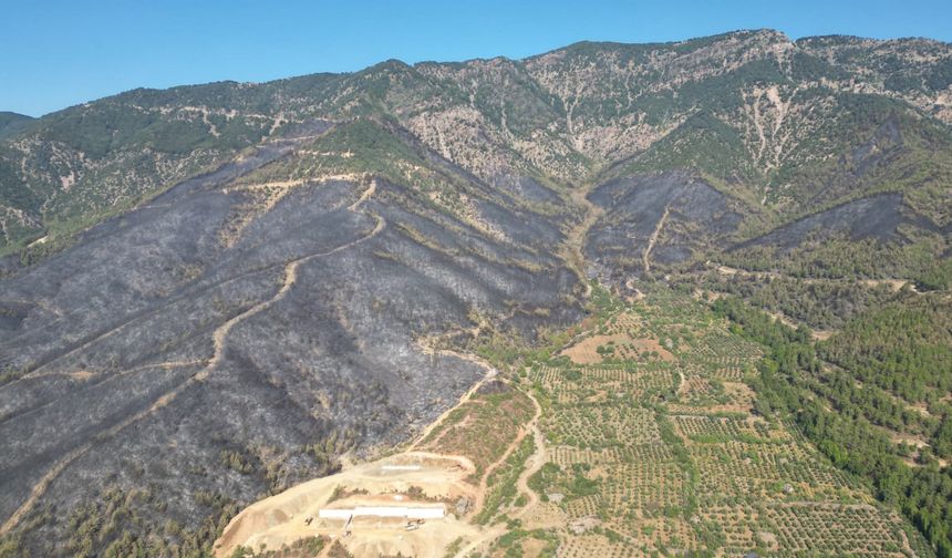 Hatay Hassa'daki orman yangını büyük ölçüde kontrol altına alındı