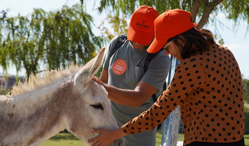 Borusan Grubu Okyanus Kampüsü projesini başlatacak
