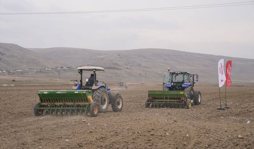 Çankırı'da çiftçiler 800 hektarda kuraklığa dayanıklı sertifikalı tohum deniyor