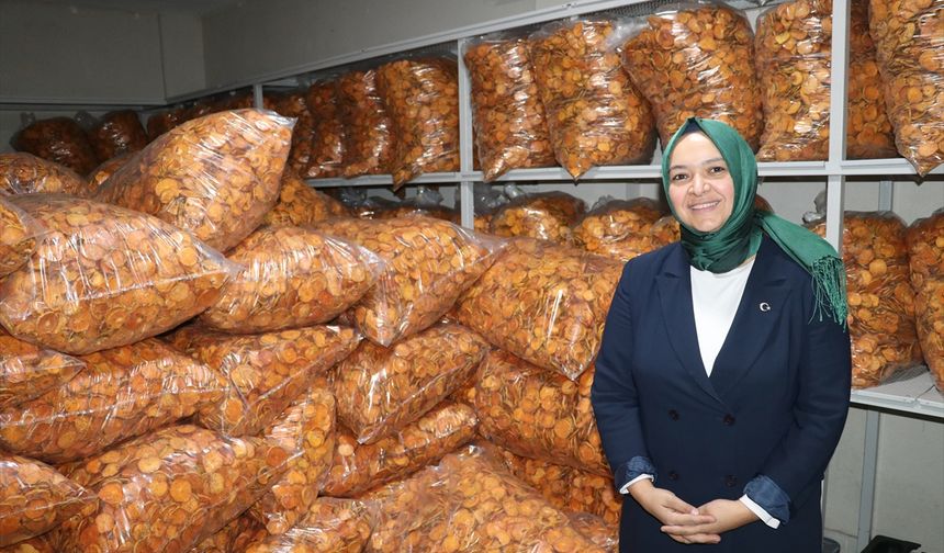 Devlet desteğiyle Trabzon hurması cipsi üreten kadın girişimci, istihdam ve kapasitesini artırdı