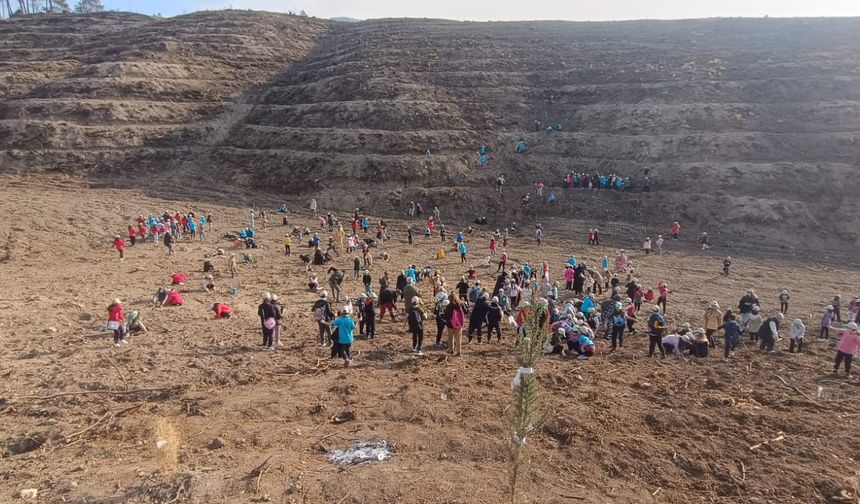 Kozan'da öğrenciler yanan ormanlık alana fidan dikti