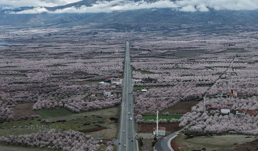 'Dünya kayısı başkenti' Malatya beyaz gelinliğini giydi