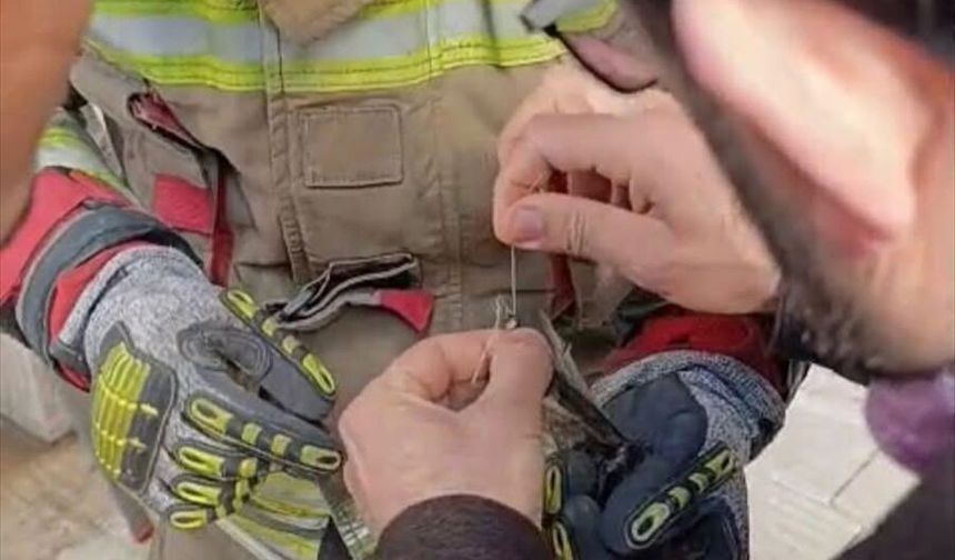 İskenderun'da kanatları ipe dolanan kuşu itfaiye kurtardı