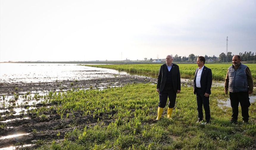 TZOB Genel Başkanı Bayraktar, Adana'da sağanaktan etkilenen bölgelerde incelemelerde bulundu
