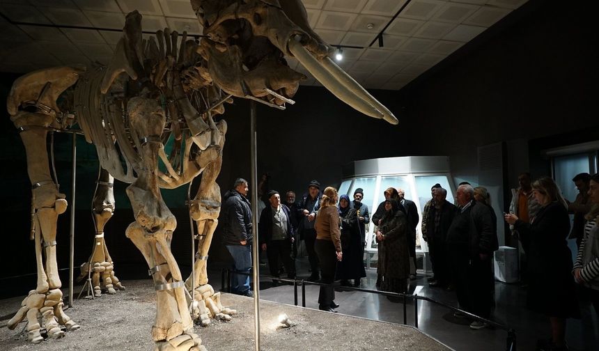 Ulu Çınarlar Tarihle Buluştu!