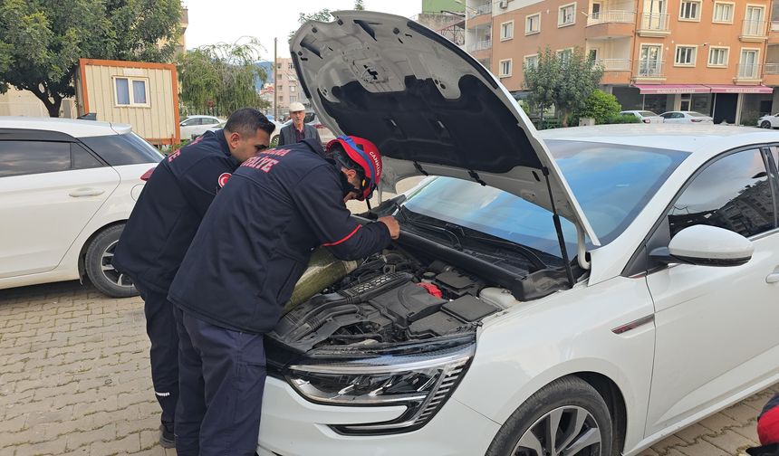 Adana'da otomobilin motor kısmına giren kedi çıkarıldı
