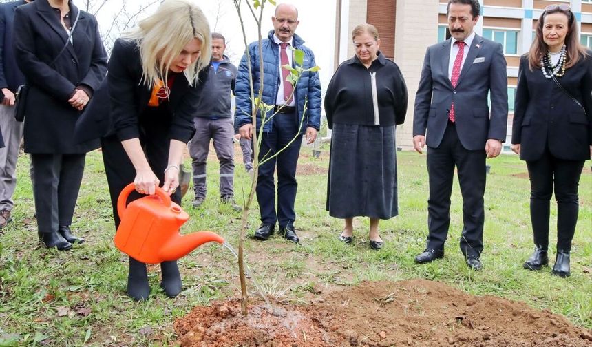 Akdeniz Üniversitesinde iki yılda 5 bin 403 fidan toprakla buluşturuldu
