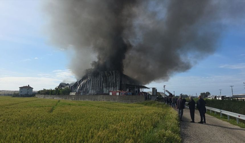 Antalya'da patates cipsi üretim tesisinde çıkan yangın söndürüldü