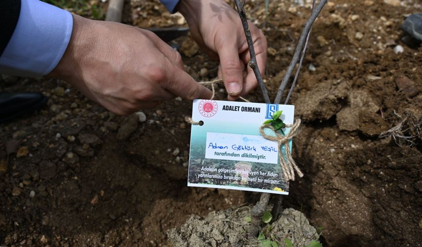 Kadirli ilçesinde 'Adalet Ormanı' oluşturuldu