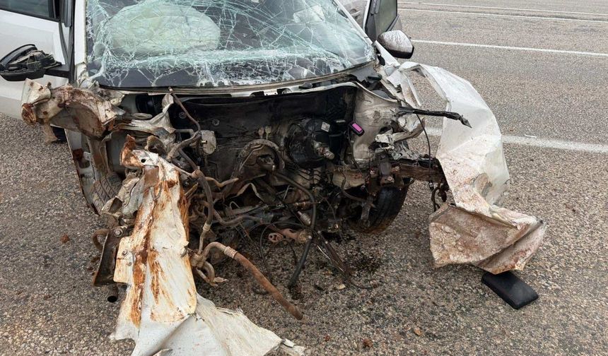 Malatya'da tabelaya çarpan otomobildeki 2 kişi yaralandı