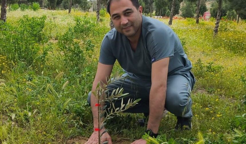 Mut'ta hastane bahçesine 150 zeytin fidanı dikildi