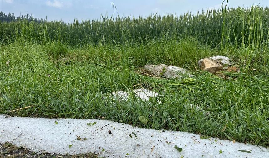 Osmaniye'de dolu ekili tarım alanlarına zarar verdi