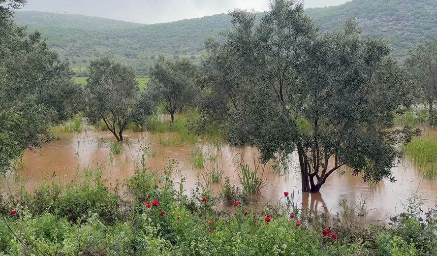 Osmaniye'de sağanak tarım arazilerine zarar verdi