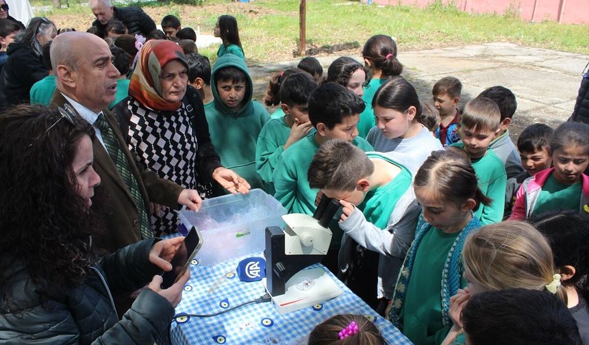 Samsun'da 'Doğada Denge Üründe Kalite Projesi' kapsamında doğaya uğur böcekleri salındı
