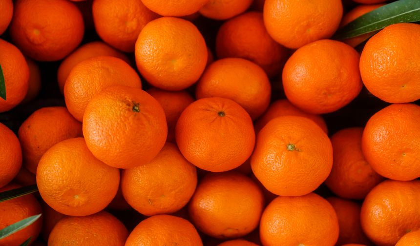 Türkiye yılın ilk çeyreğinde en fazla mandalinayı Irak'a, limonu Rusya'ya sattı