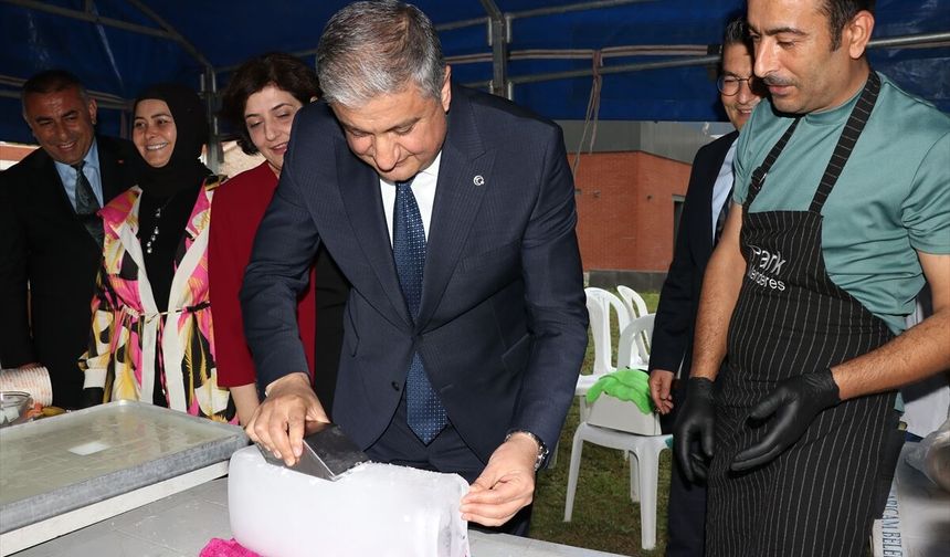 Adana'da 'Türk Mutfağı Haftası' etkinliğinde yöresel lezzetler sergilendi