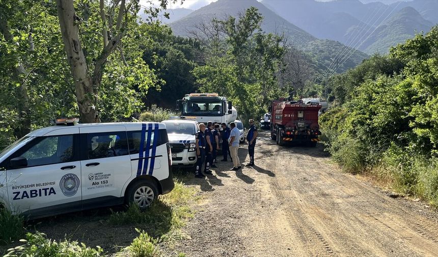 Hatay'da çıkan orman yangını söndürüldü