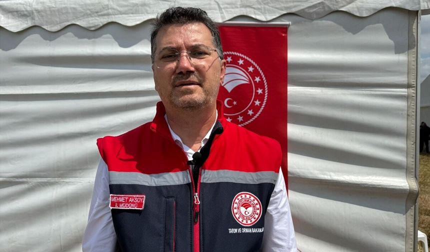 Tekirdağ'da yağışlar kanolada verim beklentisini artırdı