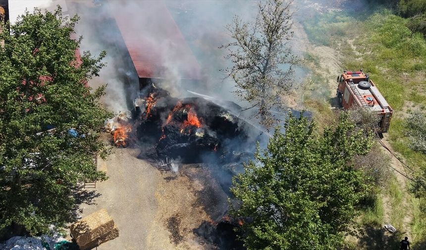 Adana'da büyükbaş çiftliğinde çıkan yangın söndürüldü