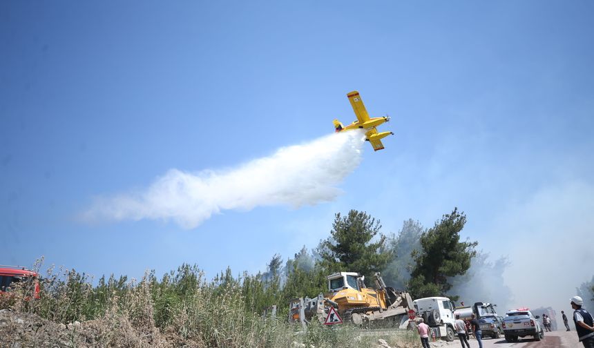 Çanakkale'de ormanlık alanda çıkan yangına müdahale ediliyor