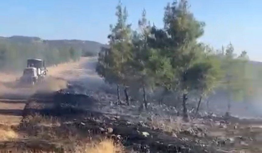 Gaziantep’te orman yangını kontrol altına alındı