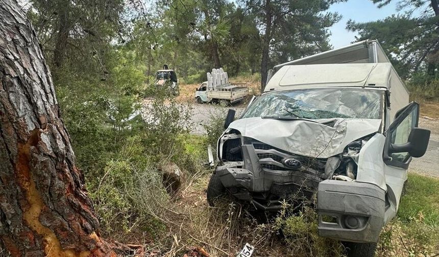 Alanya'da ağaca çarpan kamyonetin sürücüsü öldü, 1 kişi ağır yaralandı