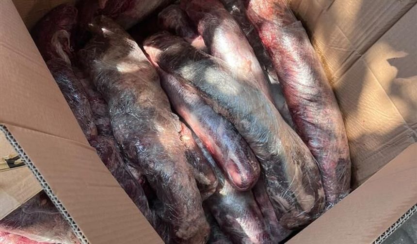 Alanya'da menşei belirsiz 300 kilogram kırmızı ete el konuldu